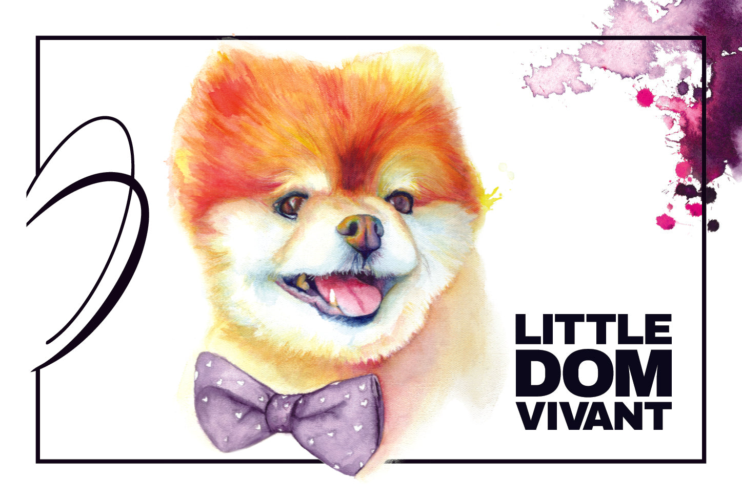 2023 Little Dom Vivant Cabernet Sauvignon